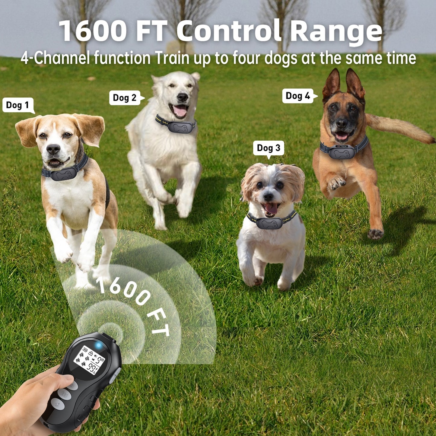 Dog Shock Collar-Obvious Training Effect, Dog Training Collar with Remote for Large Medium Small Dogs, Rechargeable E-Collar Waterproof Collars with Flashlight Beep Vibration and Shock Training Modes